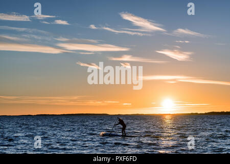 SUP-boarding an der Ostsee bei Dämmerung, Helsinki, Finnland, Europa, EU Stockfoto