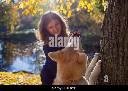 Junge Frau auf einem Spaziergang mit ihrem Hund Rasse Akita Inu Stockfoto