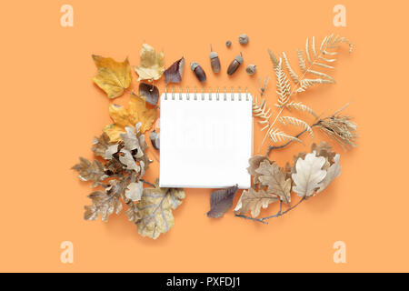 Ansicht von oben verschiedene getrocknete Blätter mit Notebook für Ihren Text auf orangem Hintergrund. Herbst, Herbst Konzept flach. Herbst Zusammensetzung Stockfoto