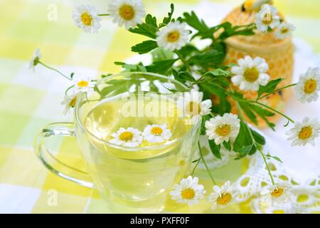 Tasse Kamillentee Stockfoto