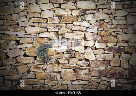 Steinmauer mit Vegetation, Textur für Ihr Design Stockfoto