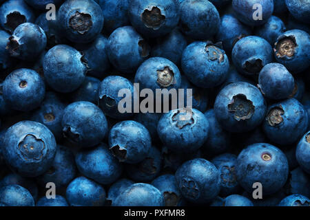 Heidelbeeren Hintergrund von oben fotografiert full frame Textur Stockfoto