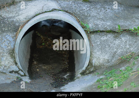 Ablaufleitung. Close-up. Stockfoto