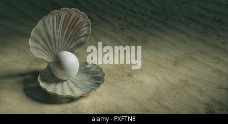Perle in der Auster Shell im Wasser, auf dem Meeresgrund, Banner. 3D-Darstellung Stockfoto