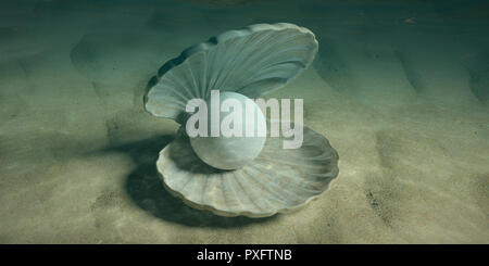 Perle in der Auster Shell im Wasser, auf dem Meeresgrund. 3D-Darstellung Stockfoto