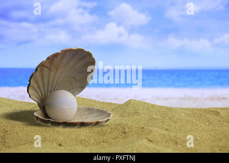 Perle in der Auster Shell auf einem Sandstrand, kopieren. 3D-Darstellung Stockfoto