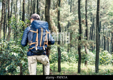 Ansicht der Rückseite des asiatischen reisenden Mann mit Rucksack auf den Wald Stockfoto