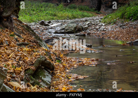 Ein wenig Wasser in den Karpaten im Herbst Saison Stockfoto