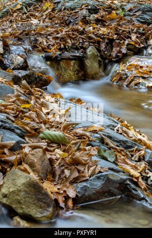 Eine kleine Kaskade in den Karpaten im Herbst Jahreszeit - slow motion Stockfoto