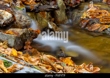 Eine kleine Kaskade in den Karpaten im Herbst Jahreszeit - slow motion Stockfoto