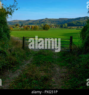 Am frühen Abend Herbst Licht auf das Dorf südlich Harting mit der South Downs im Hintergrund, Hampshire, Großbritannien Stockfoto