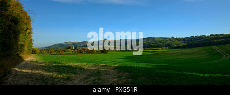 Am frühen Abend Herbst Licht auf das Dorf südlich Harting mit der South Downs im Hintergrund, Hampshire, Großbritannien Stockfoto