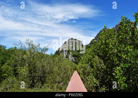 Kalkstein Berg mit roten Holzbrücke und Blatt Bush im Mangrovenwald, Altostratus Cloud auf der schönen blauen Himmel, Khao Sam Roi Yot Nationalpark Stockfoto