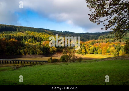 Die freiliegenden stream Bett von Derwent Valley aufgrund der niedrigen Wasserstände im Peak District, ENGLAND Stockfoto