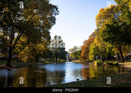 Teich am Theodor-Heuss-Ring in der Nähe des Platz Ebertplatz, Köln, Deutschland. Weiher am Theodor-Heuss-Ring nahe Ebertplatz, Köln, Deutschland. Stockfoto