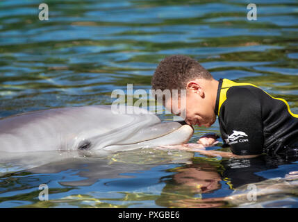 Amar Chidziva, 12, von canford Heide in Dorset, küsst ein Delphin während der dreamflight Besuch in Discovery Cove in Orlando, Florida. Stockfoto