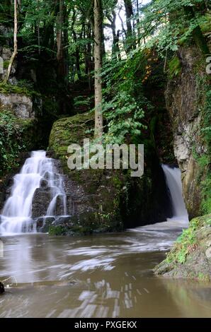 Ffynone Wasserfall abgelegenen Wasserfall sagte, der Eingang zum keltischen andere Welt Annwn Newchapel Pembrokeshire Wales Cymru Großbritannien zu werden. Stockfoto