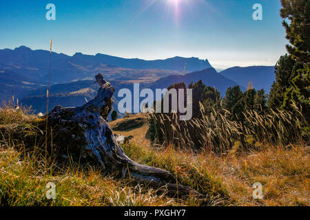 Erstaunlich herbst Blick auf den 'Langkofelgruppe' in Gröden, Südtirol, Italien Stockfoto