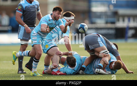 Glasgow Warriors Ali Price während des Heineken European Champions Cup Spiels im Cardiff Arms Park. DRÜCKEN SIE VERBANDSFOTO. Bilddatum: Sonntag, 21. Oktober 2018. Siehe PA Story RUGBYU Cardiff. Bildnachweis sollte lauten: David Davies/PA Wire. Stockfoto