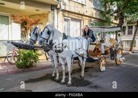 Istanbul, Türkei, 5. November 2010: Phaeton für eine Hochzeit auf Büyükada, einer der Prinzen Inseln gestaltet. Stockfoto