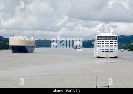 Vier Schiffe im Transit durch den Panamakanal. Es ist ein Kreuzfahrtschiff auf der rechten Seite, ein Roll-on-roll-off auf der linken Seite und zwei Containerschiffe in der Ferne Stockfoto