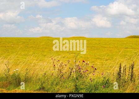 Aylesbury Landschaft von Wiltshire neben Stonehenge Stockfoto