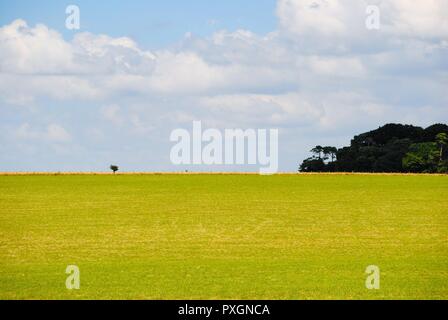 Aylesbury Landschaft von Wiltshire neben Stonehenge Stockfoto