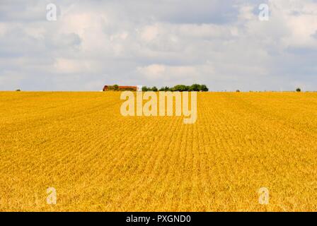 Aylesbury Landschaft von Wiltshire neben Stonehenge Stockfoto