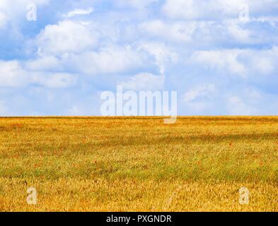 Aylesbury Landschaft von Wiltshire neben Stonehenge Stockfoto