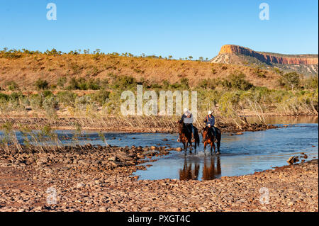 Stockmen ride Home Valley Station im Kimberly Region von Western Australia Stockfoto