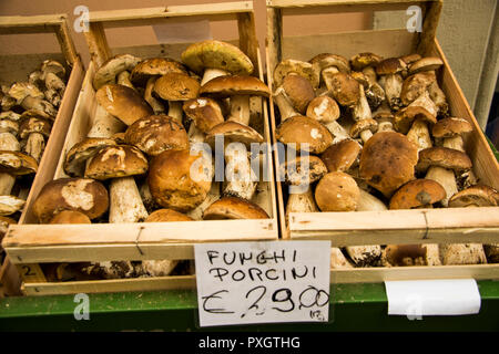 Einen kleinen Laden im Zentrum von Acqui Terme Verkauf der beliebten Pilz cep Stockfoto