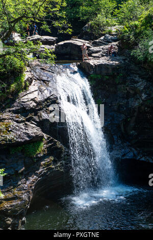 Fällt der Falloch, einem malerischen Wasserfall im Loch Lomond und Trossachs National Park, 5 km südlich von Crainlarich auf der A82, Stirling, Schottland Stockfoto