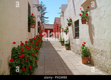 Eine Gasse voller rot blühenden Sträuchern und Terrakotta pflanzgefässe am äußeren Mauern der alten Gebäude im Kloster von Santa Catalina, Arequipa, Peru hängen Stockfoto