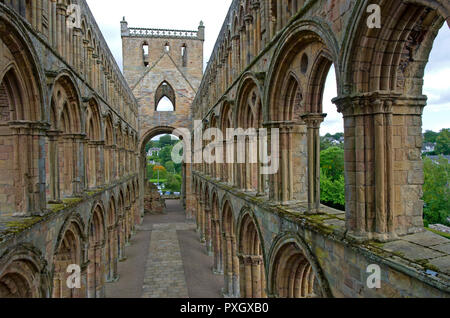 Ruinen der Jedburgh Abbey aus dem 12. Jahrhundert Augustiner-abtei und Kloster. Mischung aus romanischen und gotischen Architektur Stockfoto