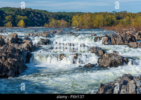 Wildwasser Kaskaden durch Mather Schlucht, durch die Blätter Farben auf einem Herbstnachmittag umgeben. Stockfoto