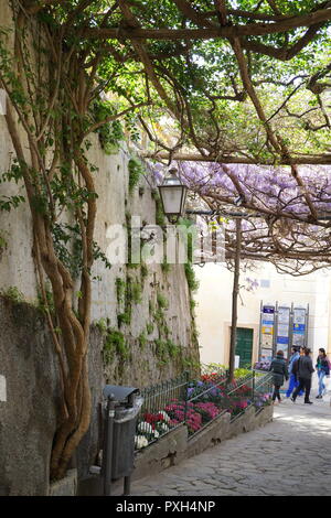 Reisende gehen auf den schmalen, steilen Straße in Positano, ein am Berghang gelegenes Dorf am südlichen Italys Amalfi Küste Stockfoto