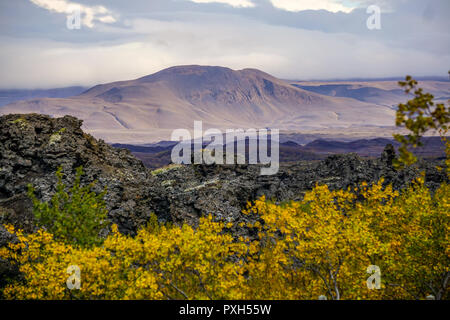 Herbst Farben an Dimmuborgir lava Felder in der Nähe von Mývatn im Norden von Island Stockfoto