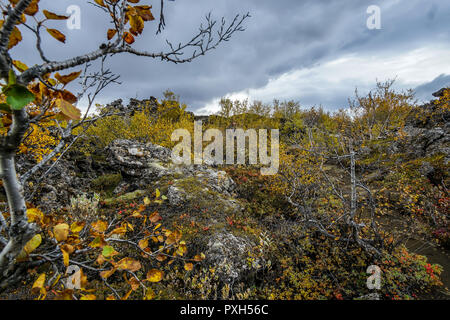 Herbst Farben an Dimmuborgir lava Felder in der Nähe von Mývatn im Norden von Island Stockfoto