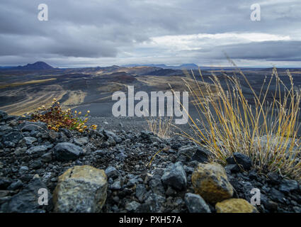 Desert Valley in der Nähe der Krater des Vulkans Hverfjall Stockfoto