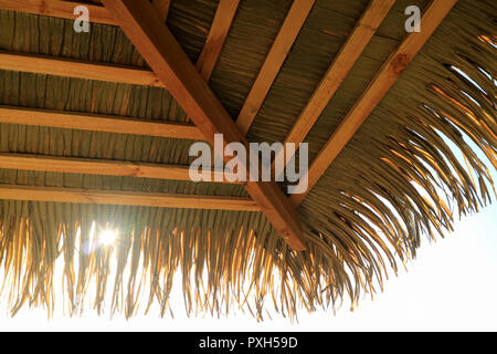 Sonnenlicht durch die Kokospalme blatt Pavillon Dach, Easter Island, Chile Stockfoto