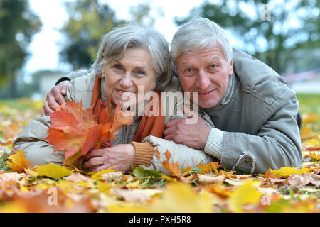 Portrait von Happy senior Paar in Park Stockfoto
