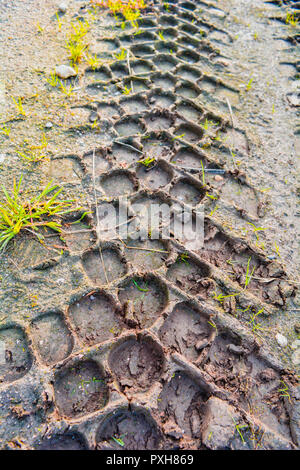 Spuren aus der Lauffläche des Auto auf Schlamm Masse. Lauffläche Auf unbefestigten Boden mit grünem Gras Stockfoto
