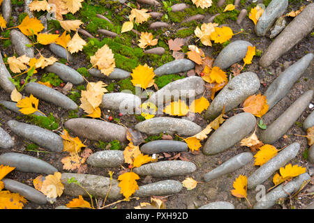 Riesige große Steine und Kiesel als dekorative verbogen Pfad oder Blumenbeet mit gelben gefallen Herbst Blätter auf dem Boden Stockfoto