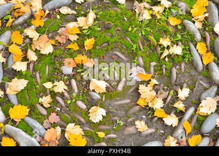 Riesige große Steine und Kiesel als dekorative Kreis gebogen Pfad oder Blumenbeet mit gelben gefallenen Blätter im Herbst und roten Beeren auf dem Boden Stockfoto