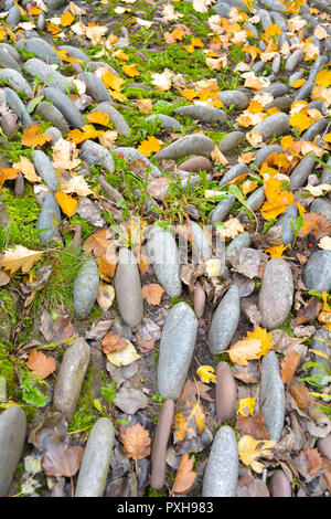 Riesige große Steine und Kiesel als dekorative verbogen Pfad oder Blumenbeet mit gelben gefallen Herbst Blätter auf dem Boden Stockfoto