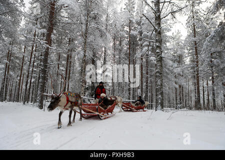 Touristen auf ein Rentier Ritt im Santa Claus Dorf, in Rovaniemi, Finnland. Rovaniemi ist die Hauptstadt von Finnisch Lappland und ist am Polarkreis gelegen, ist es auch die Heimat von Santa Claus. Stockfoto