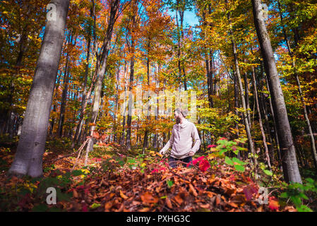 Junge Menschen Sammeln von Brennholz in bunten Wald Stockfoto