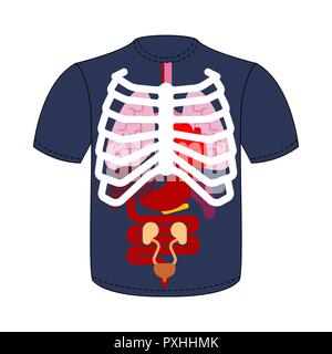 T-Shirt der inneren Organe und Brustkorb. Die menschliche Anatomie. Systeme des Menschen Körper und Organe. Medical Systems. Lunge und Herz. Leber und Magen. Vektor illus Stock Vektor