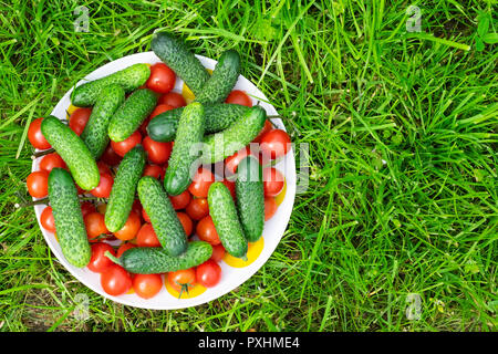 Haufen der ganzen Tomaten und Gurken auf Gras. Top View Point Stockfoto