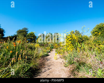 Botanischer Garten der Universität Oxford, Oxford, Oxfordshire, England, UK, GB. Stockfoto